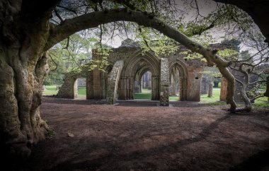 Margam Park harap abbey