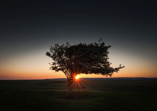 Varredura de vento em Penclawdd, Gower — Fotografia de Stock