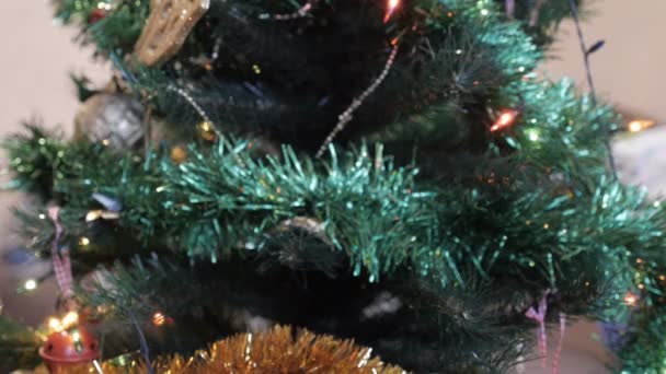 Versier de kerstboom, Kerstmis ornamenten, close-up — Stockvideo