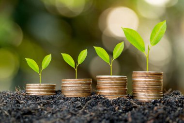 Sikkeler yere yığıldı ve tohumlar en tepede büyüyor. Para, mali ve iş büyümesi kavramı..