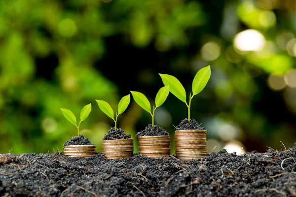 Las Monedas Apilan Suelo Las Plántulas Están Creciendo Parte Superior — Foto de Stock