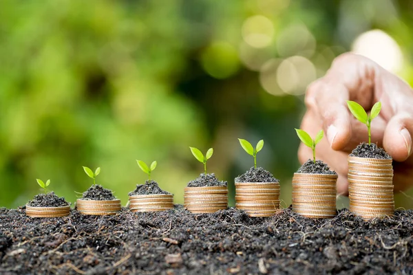 Hand Sätta Mynt Mynt Stack Växande Graf Med Grön Bokeh — Stockfoto