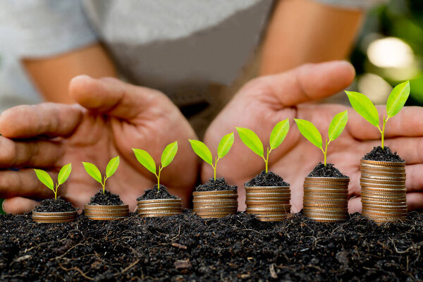 Рука положить монеты на стек растет график с зеленым боке фон, инвестиции concept.tree растет на монете, бизнес-финансы и экономить деньги концепции
