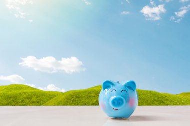 blue piggy bank on stone table