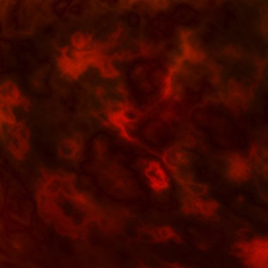 abstract dark and spooky background for Halloween.