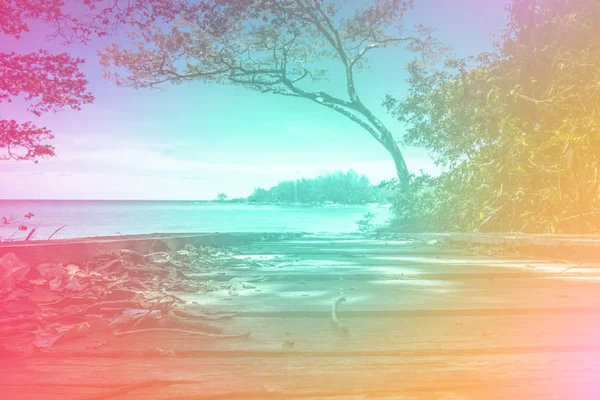 Kokospalme und Strand Holzbett auf weißem Sand mit schönem blauen Meer über klarem blauem Himmel — Stockfoto