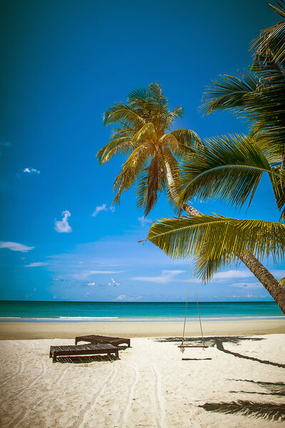 coconut tree and beach wooden bed on white sand with beautiful blue sea over clear blue sky