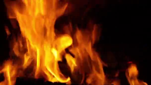 Vlam in de haard — Stockvideo