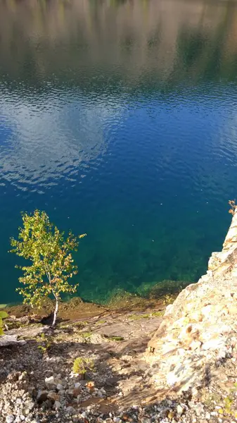 Закинутий Кам Яний Кар Наповнений Водою Деревами Навколо — стокове фото