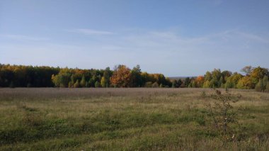 Sonbahar ormanı, sonbahar yaprakları, sonbahar ağaçları ve hava durumu. Her şey sonbaharda nefes alır, şimdi sonbahar zamanı..