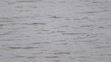 Gölde akan güzel su dalgaları