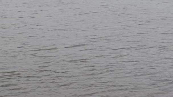 美丽的水波在湖中飘扬 湖中的水在流动 — 图库视频影像