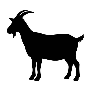 Siyah bir keçi silueti dramatik bir duruşta beyaz bir arka plana karşı duruyor, kendine özgü boynuzlarını ve tüylü dokusunu sakin ve huzurlu doğal ortamında sergiliyor..