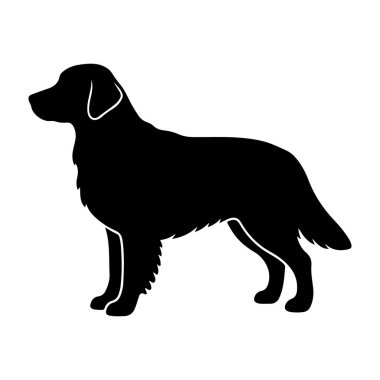 Siyah bir köpek silueti gururla beyaz bir arka plana karşı durur, parlak tasarımını ve modern çekiciliğini köpeğin silüetine odaklanarak temiz ve minimalist bir ortamda vurgular..