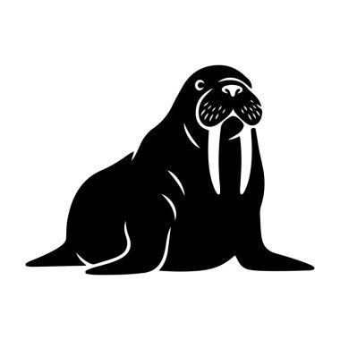 Görüntü, heybetli siluetini sergileyen huzurlu, doğal bir ortamda huzurlu bir deniz aygırını yansıtıyor. Resimlerde, hayvanın temiz ve pürüzsüz beyaz bir arkaplan üzerine kurulmuş özel dişleri ve kürkü vurgulanıyor..