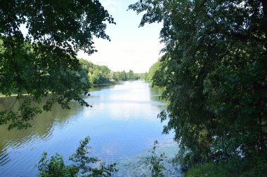 Güzel bir yaz göleti, ağaçlar kıyıda büyüyor.
