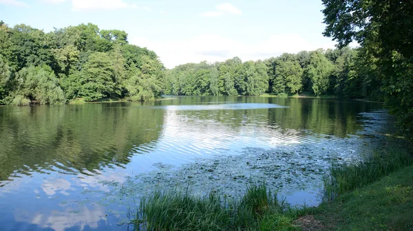 Schöner Teich Einem Sommertag Park — Stockfoto