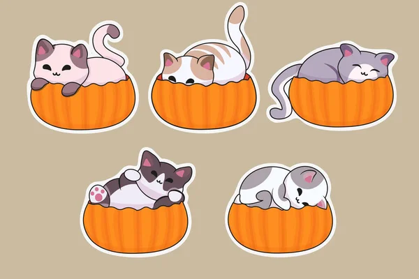 Adesivos Para Feriado Halloween Gatinhos Vetores Bonitos Abóboras —  Vetores de Stock