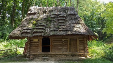 Parktaki eski ahşap ev.