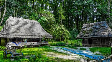 Parktaki eski ahşap ev.