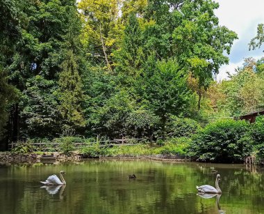 Bir görünümü Gölü