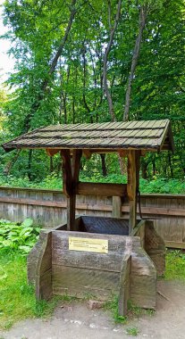 Ormanda ahşap bir bank