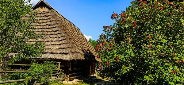 Museum Van Volksarchitectuur Leven Shevchenko Hai — Stockfoto