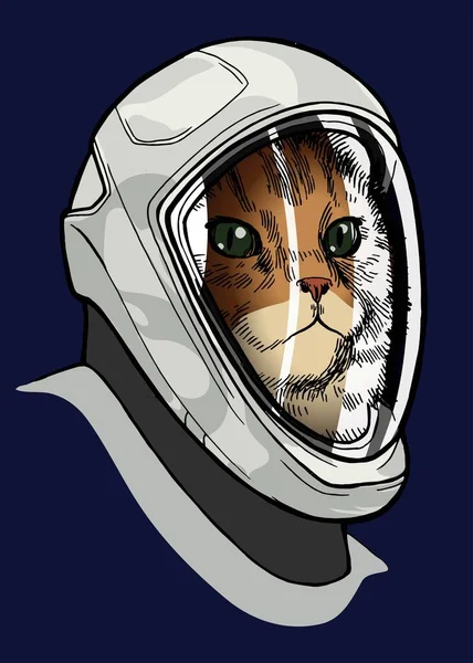 Gato Espacial Cat Vistiendo Nuevo Traje Espacial Lanzamiento Entrada Una — Vector de stock