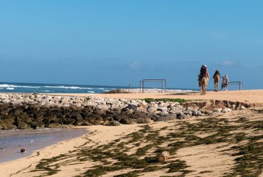 İnsanlar sahilde deveye biniyor.