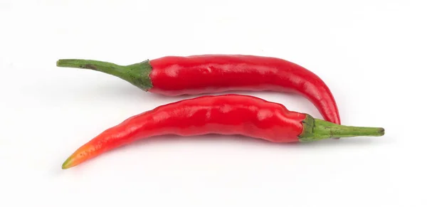 Chili Peppers White Background — Stock Photo, Image