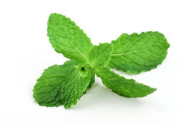 Beyaz arkaplanda nane yaprakları
