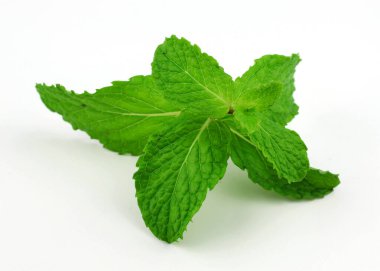 Beyaz arkaplanda nane yaprakları