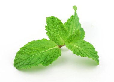 Beyaz arkaplanda nane yaprakları