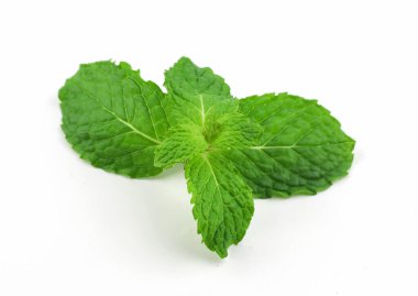 Beyaz arkaplanda nane yaprakları
