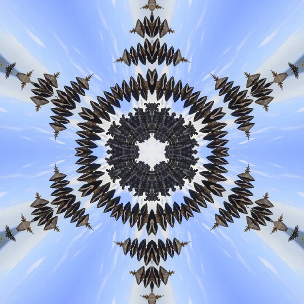 Conception Kaléidoscope Circulaire Avec Une Forme Artistique Tendance — Image vectorielle