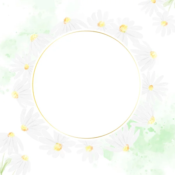 Aquarell Weiße Gänseblümchen Quadratische Banner Für Hochzeit Geburtstag Oder Muttertag — Stockvektor