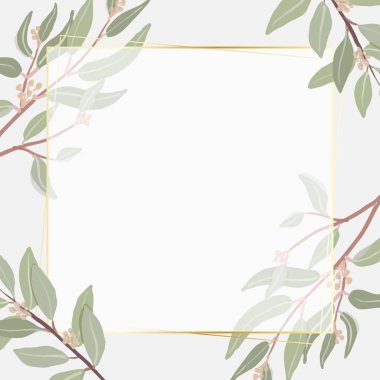 güzel asgari okaliptüs sancak için kare altın çerçeve arkaplanı bırakır