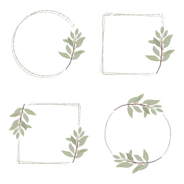 婚礼请柬或标志用最小手绘桉树花环框架 — 图库矢量图片