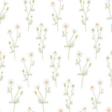 Kağıt veya kumaş için kusursuz desenli beyaz papatya çiçeği çizilmiş güzel asgari el