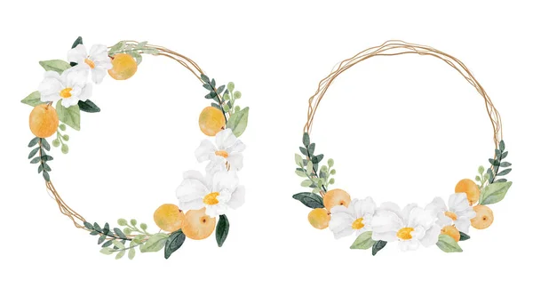 Akvarell Fehér Virág Narancs Gyümölcs Koszorú Keret Gyűjtemény Elszigetelt Fehér — Stock Vector