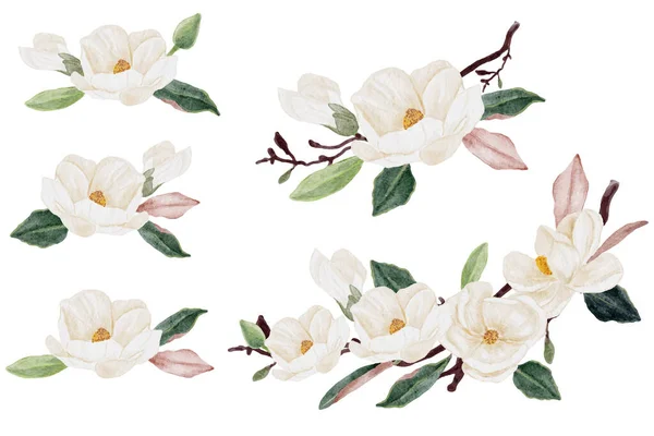 Aquarell Weiße Magnolie Blume Und Blatt Strauß Cliparts Kollektion Isoliert — Stockvektor