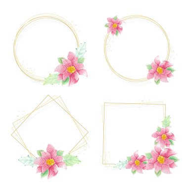 Altın çerçeveli suluboya noel çiçekleri 