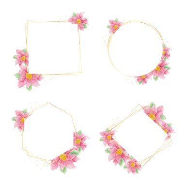 Altın çerçeveli suluboya noel çiçekleri 