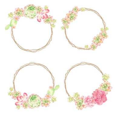 suluboya kaktüs ve sulu buket düzenleme kuru dal çerçeve çerçeve koleksiyonu beyaz arka planda izole