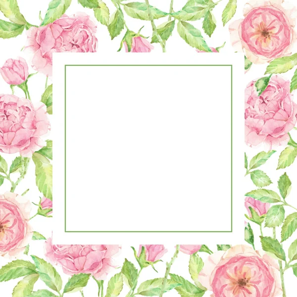 Watercolor Beautiful English Rose Flower Bouquet Garden Square Banner Background — Stock Vector