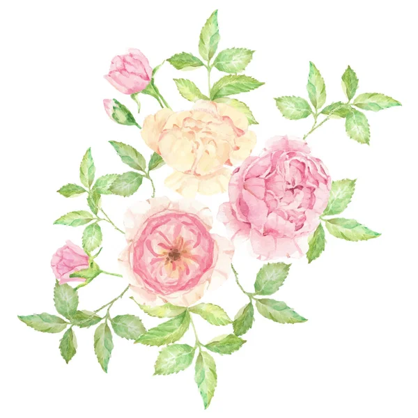 Aquarelle Magnifique Bouquet Fleurs Rose Anglaise Isolé Sur Fond Blanc — Image vectorielle