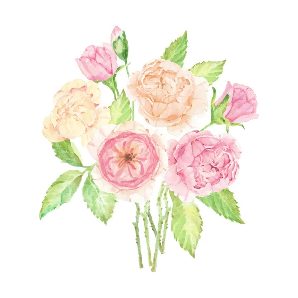 Ακουαρέλα Όμορφη Αγγλική Τριαντάφυλλο Μπουκέτο Απομονώνονται Λευκό Φόντο — Διανυσματικό Αρχείο