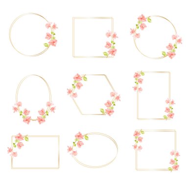 Sulu pembe Bougainvillea. Fotokopi alanı olan altın çelenk çerçevesi koleksiyonu.