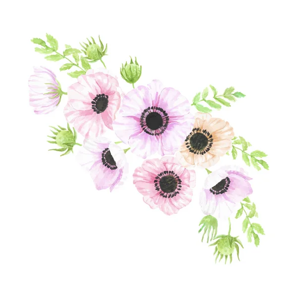 Aquarell Handgezeichnet Anemonenblume Blumenstrauß Isoliert Auf Weißem Hintergrund — Stockvektor