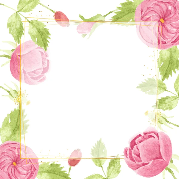 Aquarell Rosa Englische Rose Mit Goldenem Luxuriösen Quadratischen Rahmen — Stockvektor